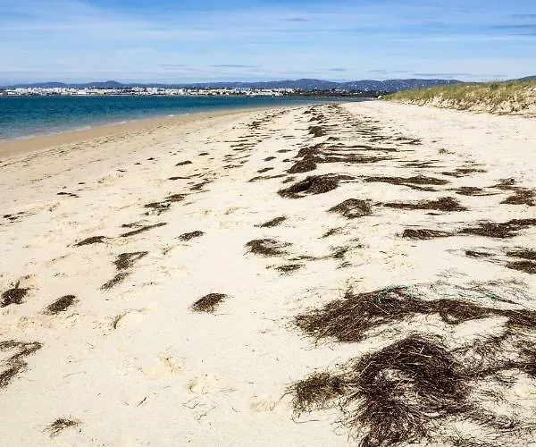 Διαμέρισμα Ondas Do Mar -coastal Comfort-