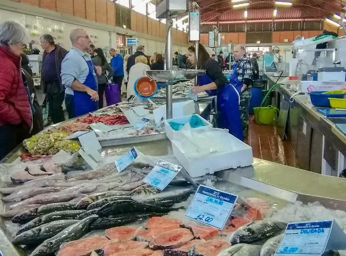 Διαμέρισμα Ondas Do Mar -coastal Comfort-